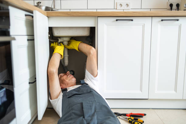 Best Garbage Disposal Repair and Installation  in Greenfield, TN